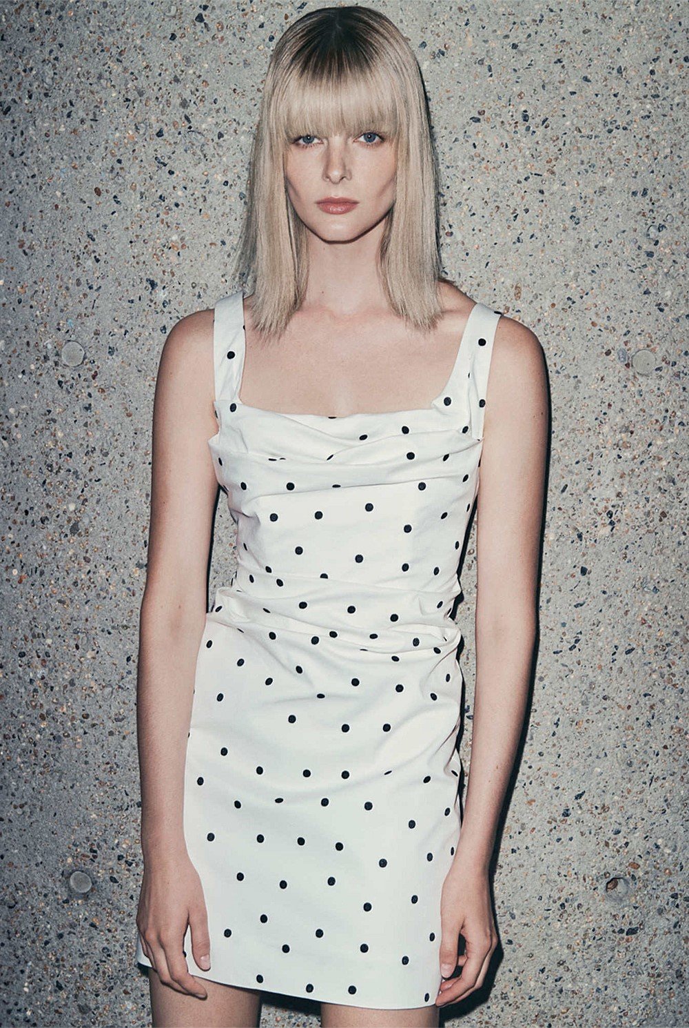 Embroidered Spot Mini Dress