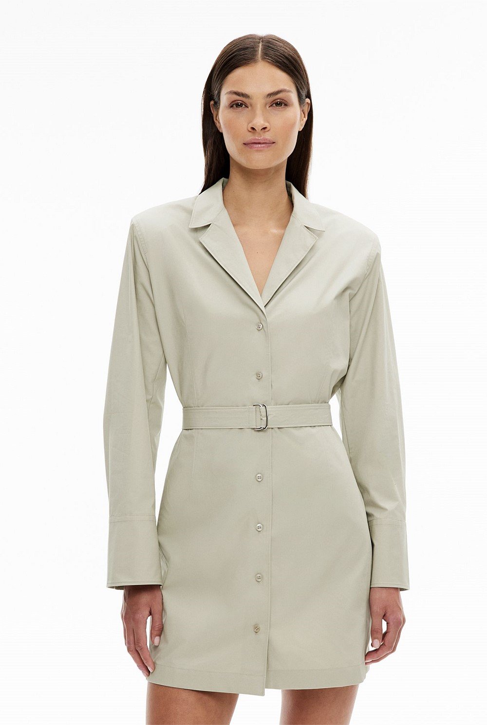 Tailored Shirt Dress