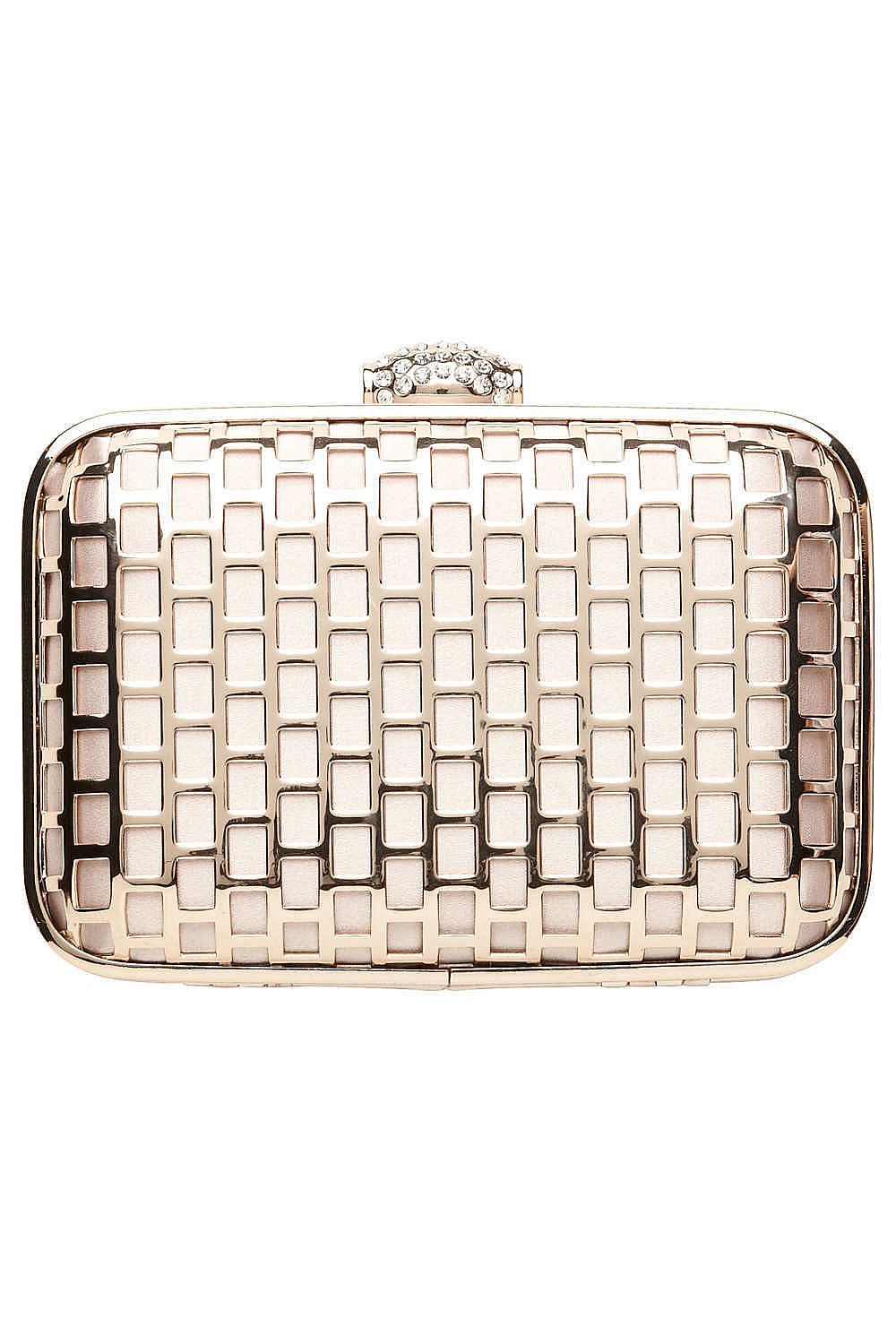Joan Metal Hardcase Clutch