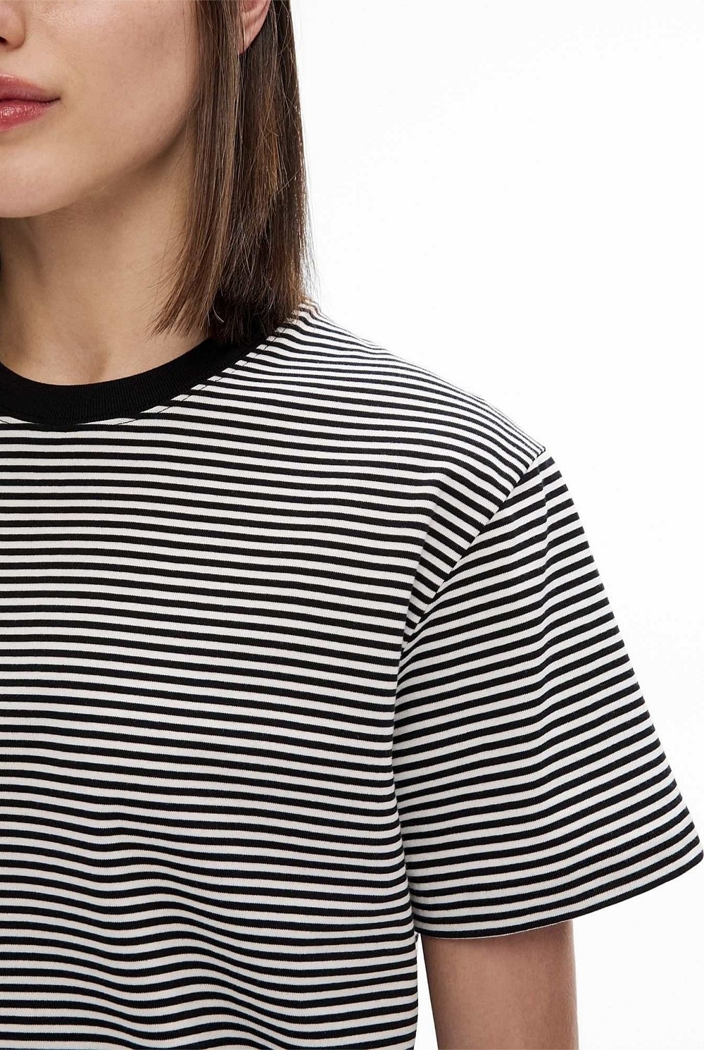 Stripe Crew T-Shirt