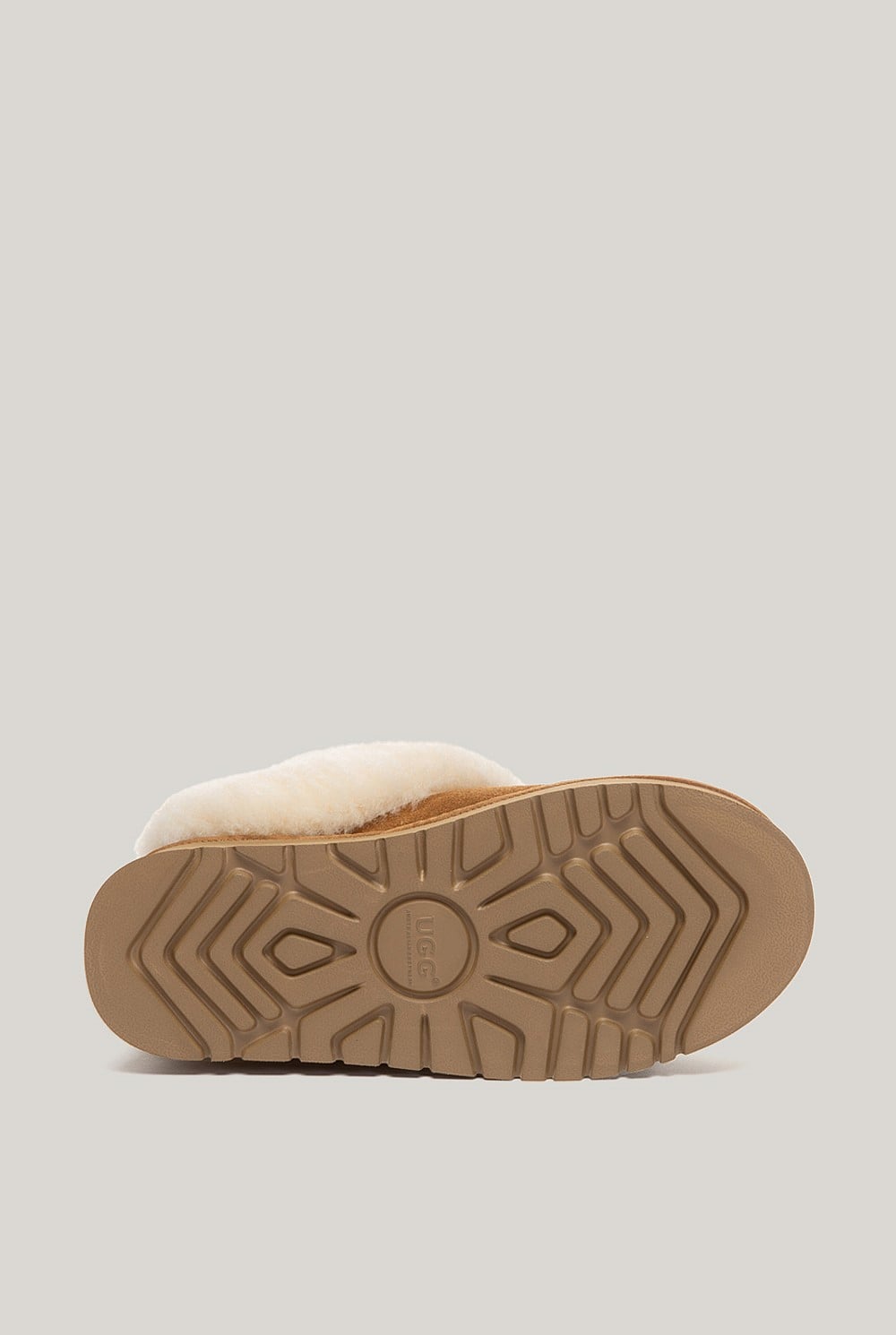 Glacial Slippers