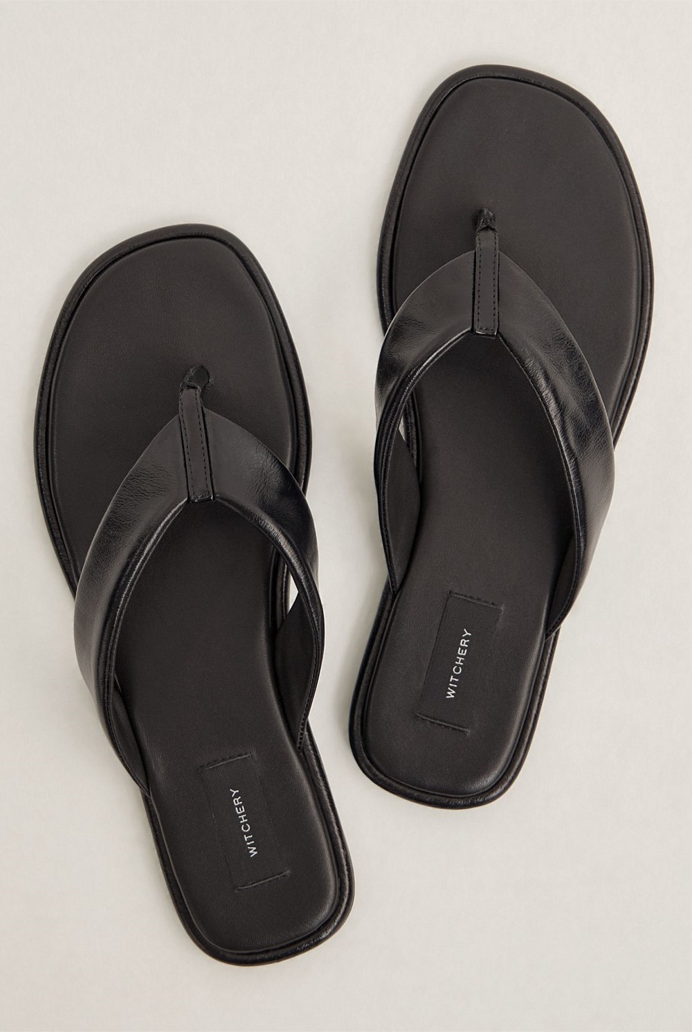 Lexi Slides