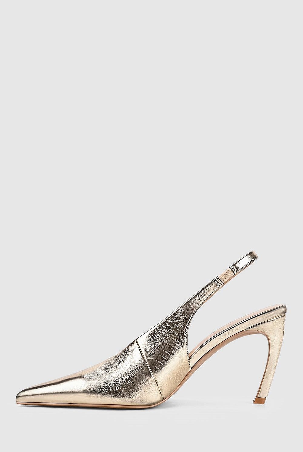 Rochelle Pump