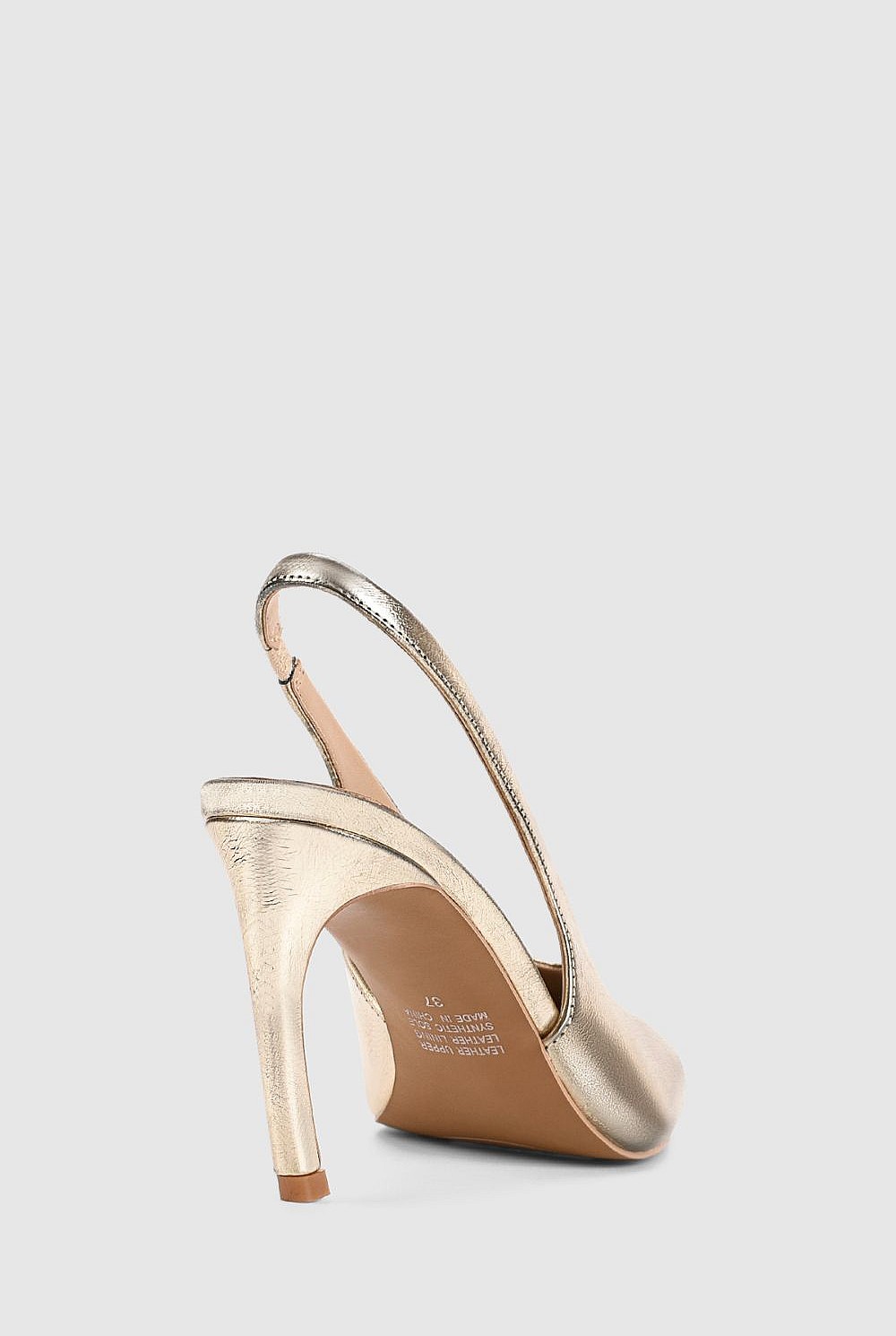 Rochelle Pump